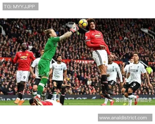 广州排球队在锦标赛中的默契配合与战术执行分析