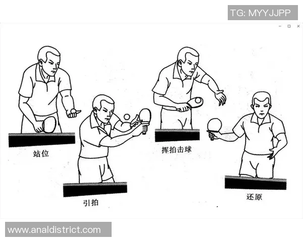 成都乒乓球队战术深度解析与训练策略探讨
