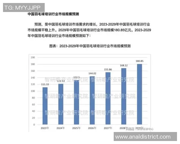 深圳羽毛球队运营策略深度分析与发展前景展望