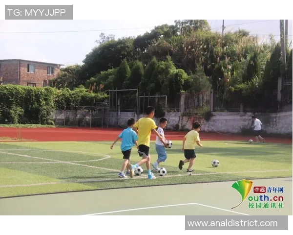 乒乓球巨献：探秘杭州乒乓球队的团队协作