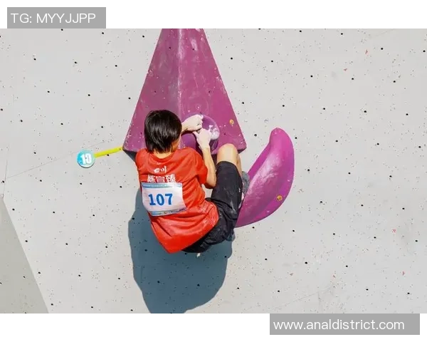 2026攀岩灵活性排行榜：上海攀岩队位居第1名