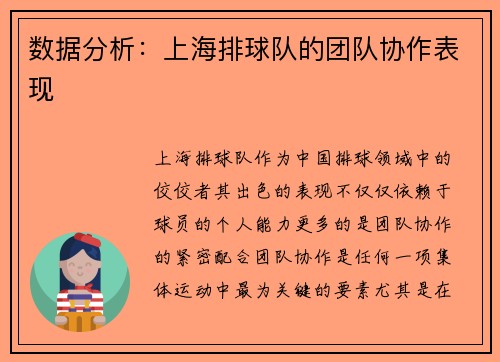 数据分析：上海排球队的团队协作表现